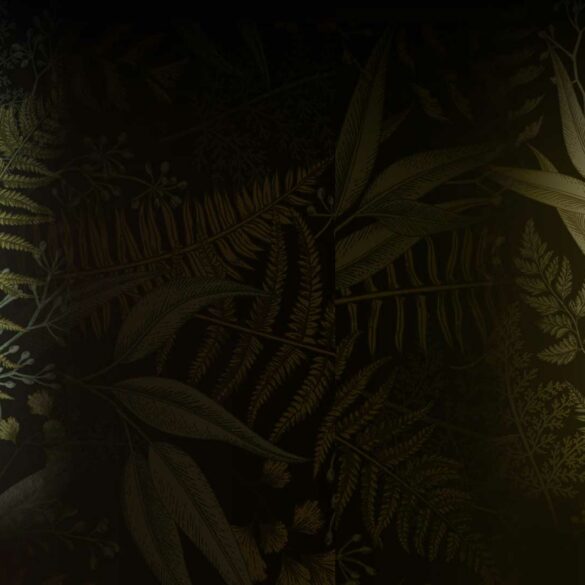 Hermite-Alpestre-OnestiGroup-novità-Coqtail-Milano