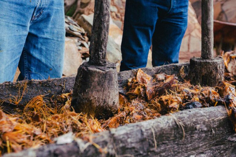 Raicilla-distillato-di-agave-Messico-Coqtail-Milano