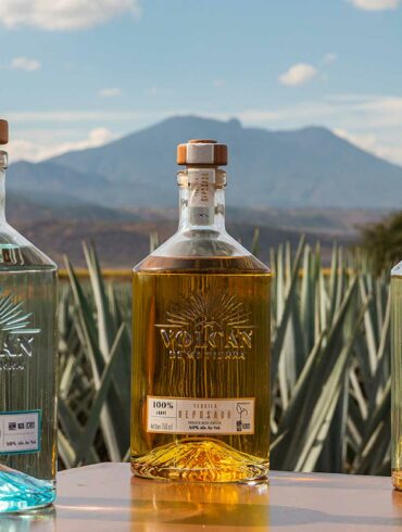 Volcan-de-Mi-Tierra-al-Park-Hyatt-Coqtail-Milano