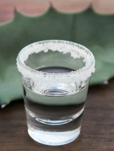 distillati-di-agave-storia-caratteristiche-coqtail-milano