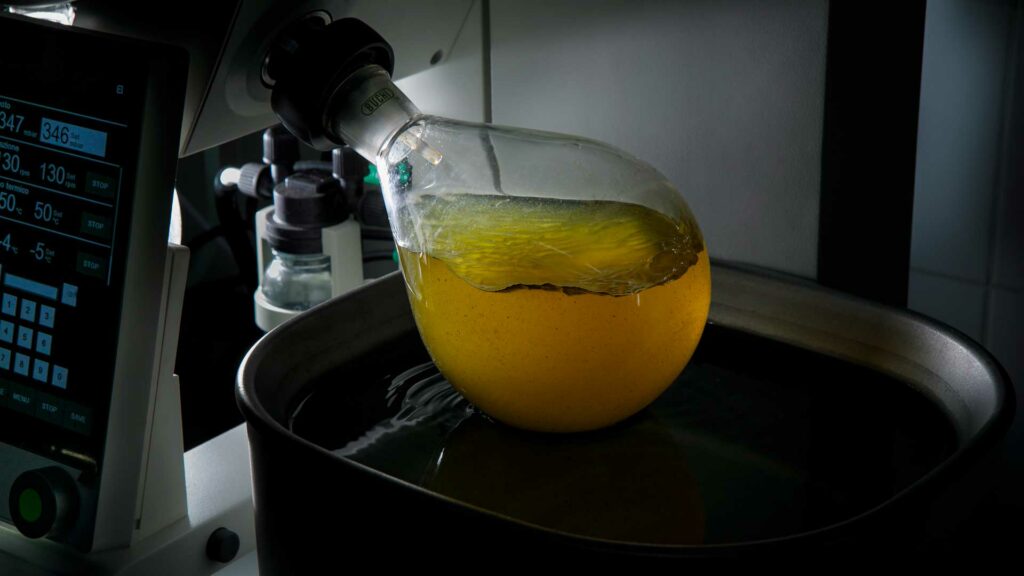 lemon-leaf-martini-rotavapor-buchi-coqtail-milano