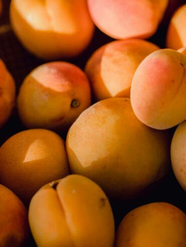 abricotine-distilalto-albicocche-coqtail-milano