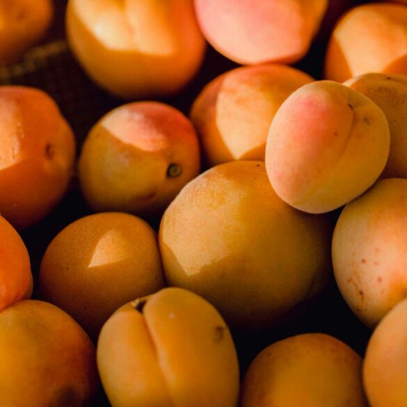 abricotine-distilalto-albicocche-coqtail-milano