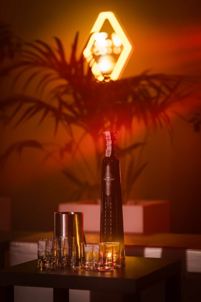 volcan-de-mi-tierra-X.A-arca-coqtail-milano