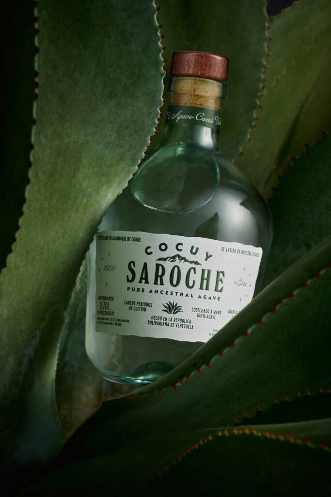 cocuy-distillato-agave-venezuelano-coqtail