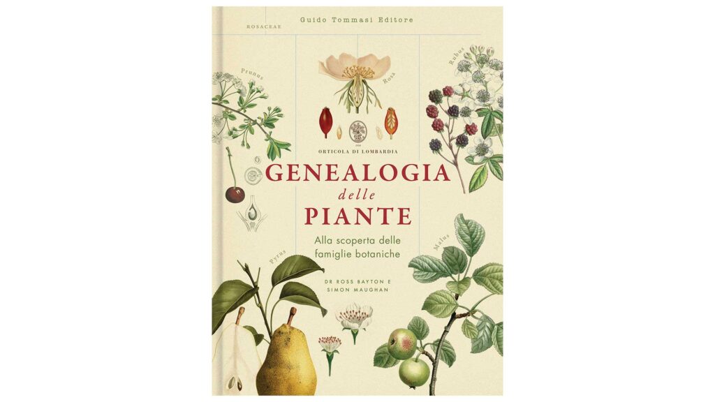 Book-club-genealogia-delle-piante-Coqtail