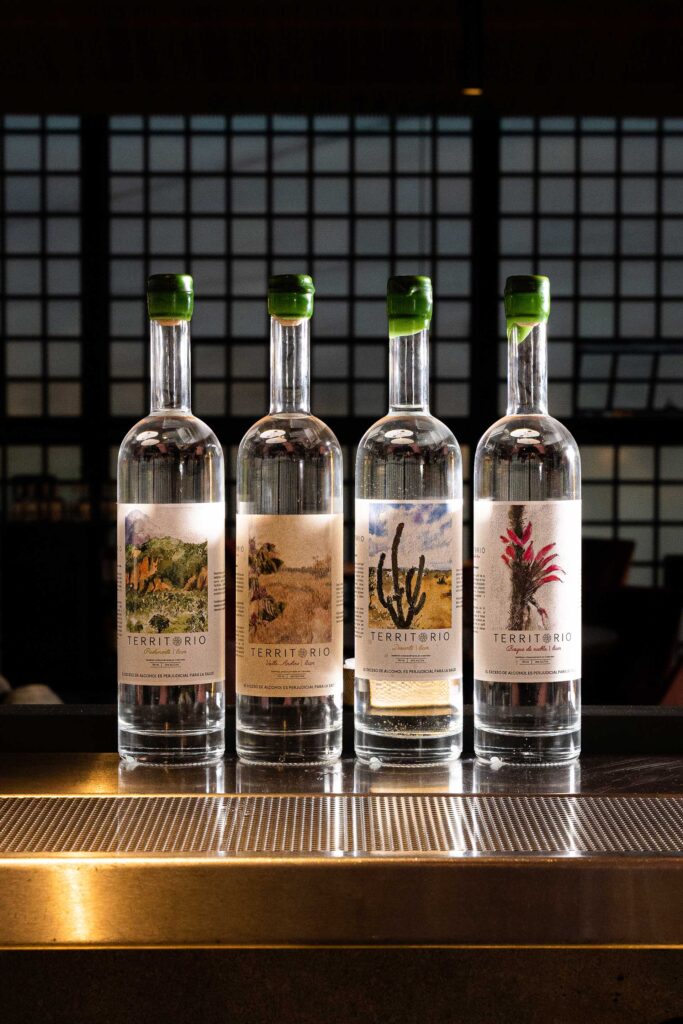 Collezione-distillati-Territorio-Coqail