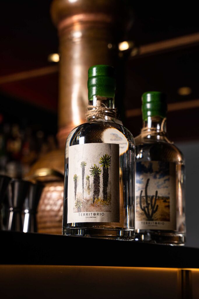 Páramo-uno-dei-distillati-di-Distilleria-472-Coqtaill