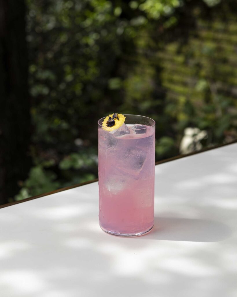 Reinterpretazione-piccante-del-Paloma-Coqtail