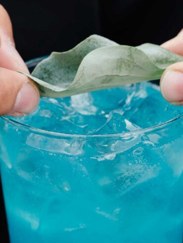 giornata-mondiale-degli-oceani-belvedere-vodka-kenzo-coqtail