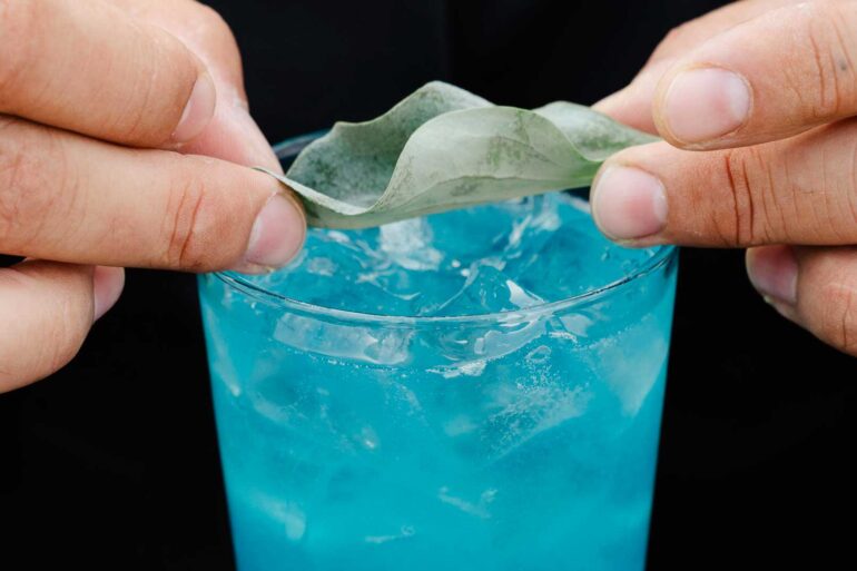 giornata-mondiale-degli-oceani-belvedere-vodka-kenzo-coqtail