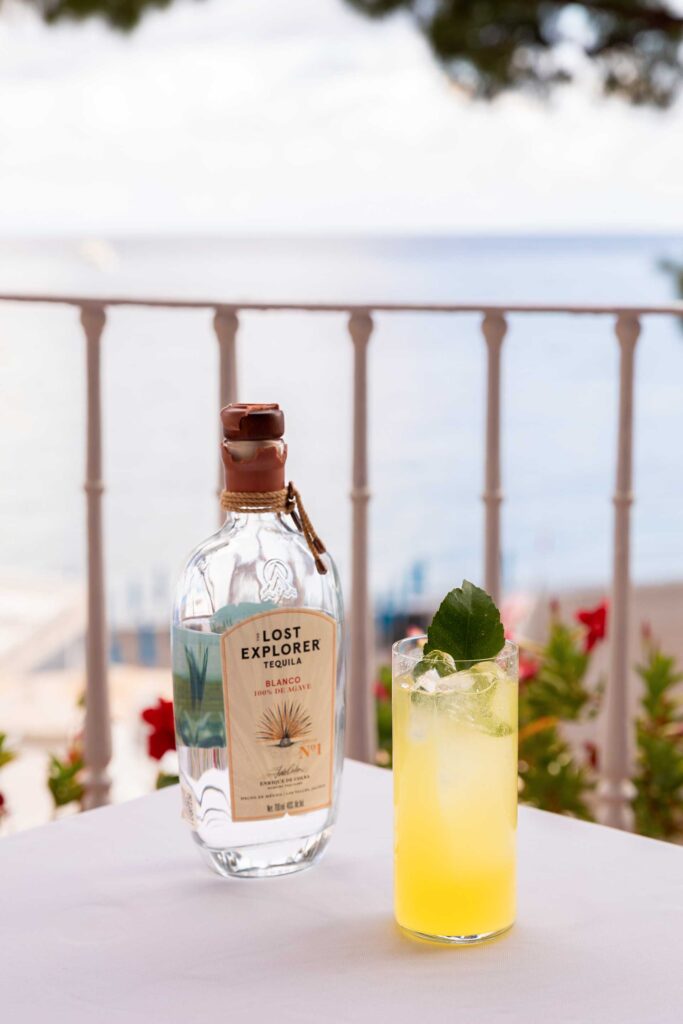 paloma-the-lost-explorer-coqtail