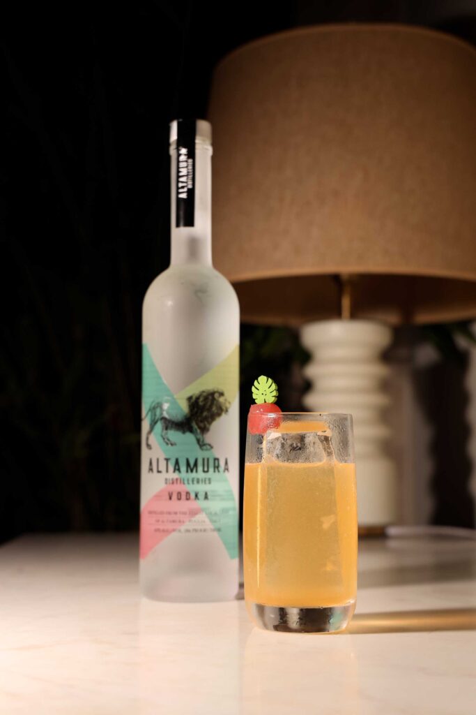 bar-d'hotel-altamura-vodka-coqtail