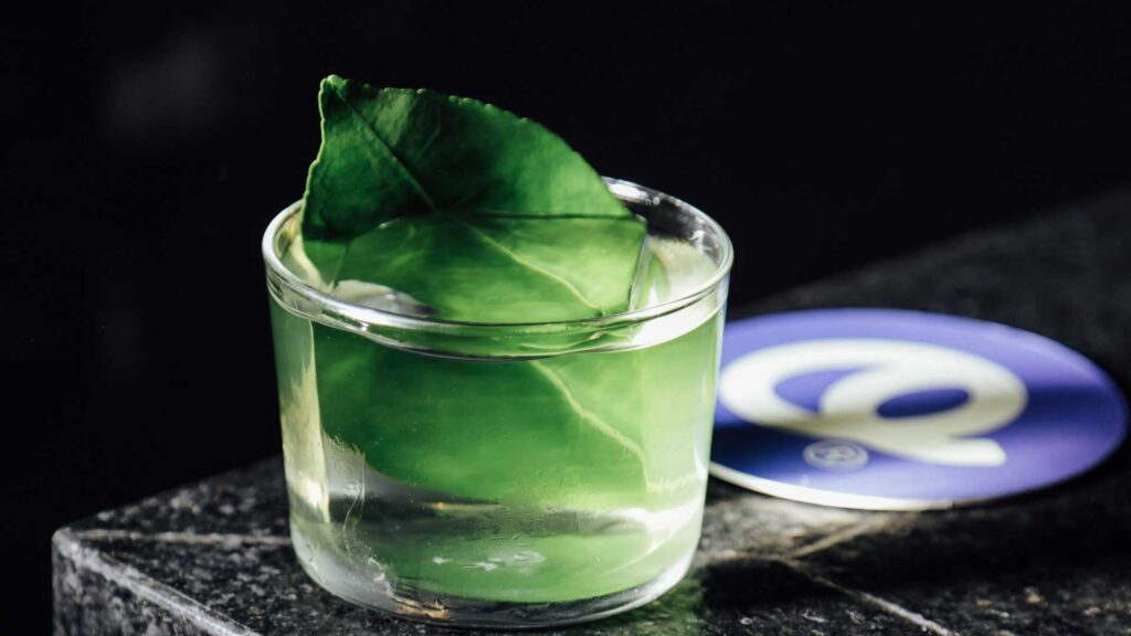 Cocktail-riferimento-all-universo-messicano-Coqtail