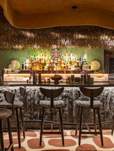 Bancone-del-Wild-bar-Coqtail