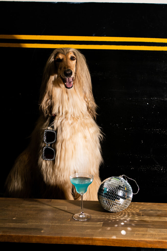 Disco Never Dies cocktail