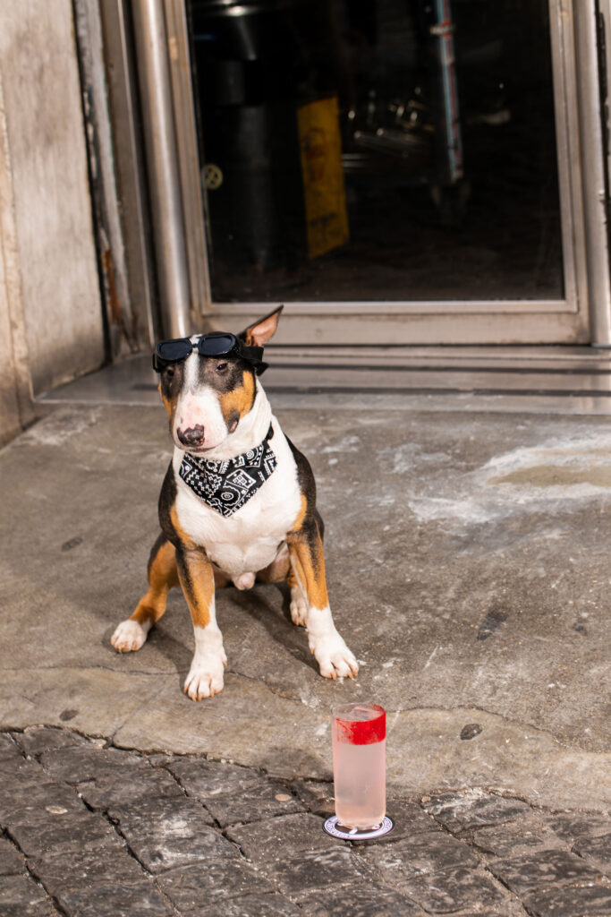 The Regular cocktail di Freni e Frizioni