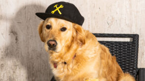 Freni e Frizioni dedica ai clienti la nuova drink list