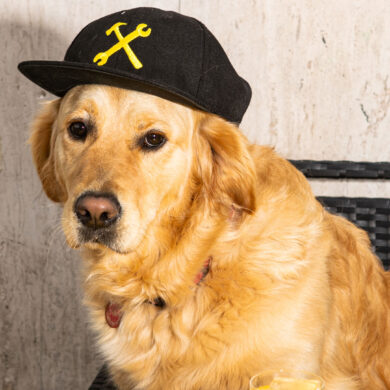 Freni e Frizioni dedica ai clienti la nuova drink list