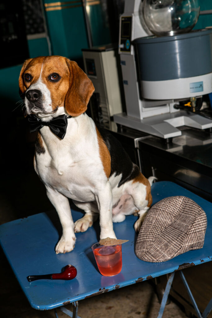 The Curious cocktail