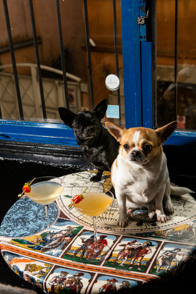 Cocktail Martini Fanatic