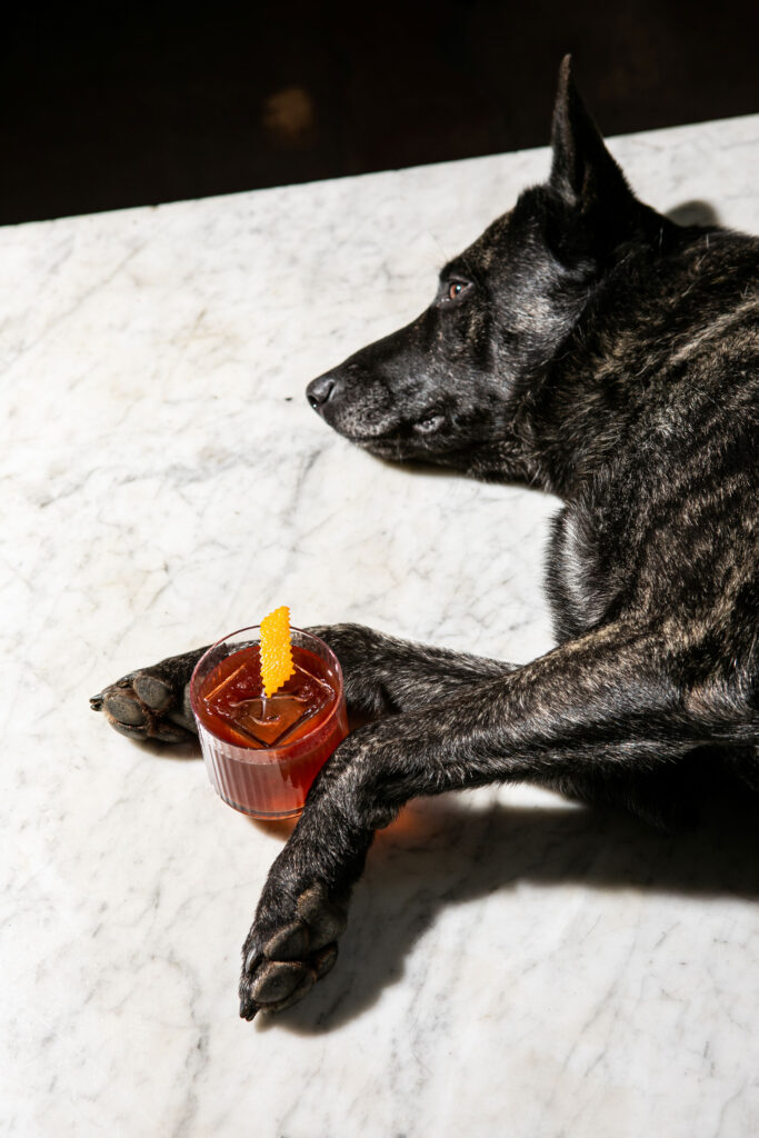 Cocktail Last Man Standing