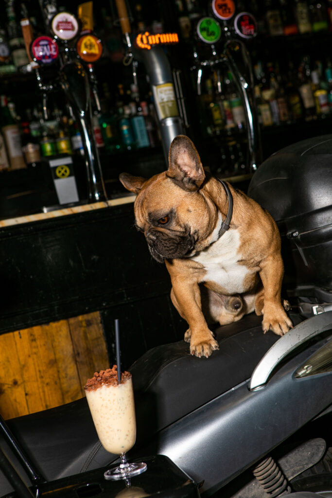 Drink list Bar Stereotypes, The Driver