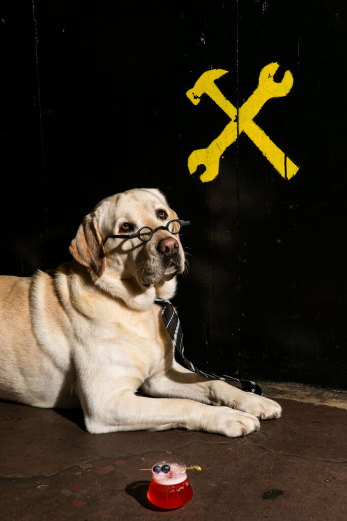 Freni e Frizioni cocktail The Nerd