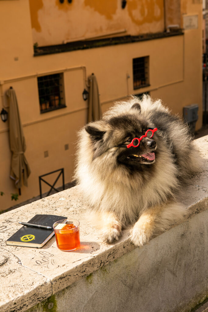 Il cocktail The Journalist