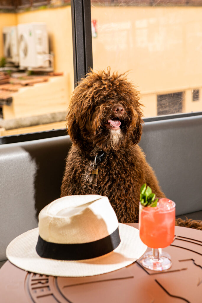 Drink list dedicata agli stereotipi