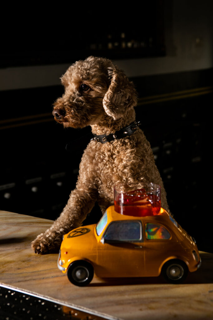 Drink listi sugli stereotipi di Freni e Frizioni