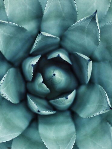 La nuova era del tequila