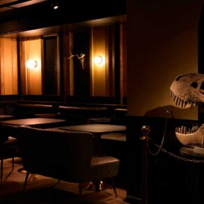 The Museum Bar a Brooklyn